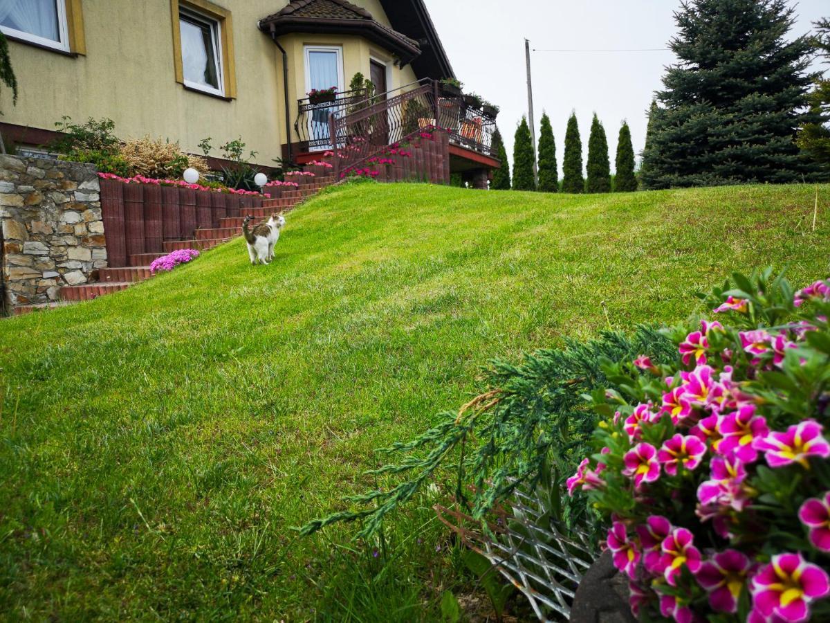 Swierkowy Zakatek Gorno  Kültér fotó